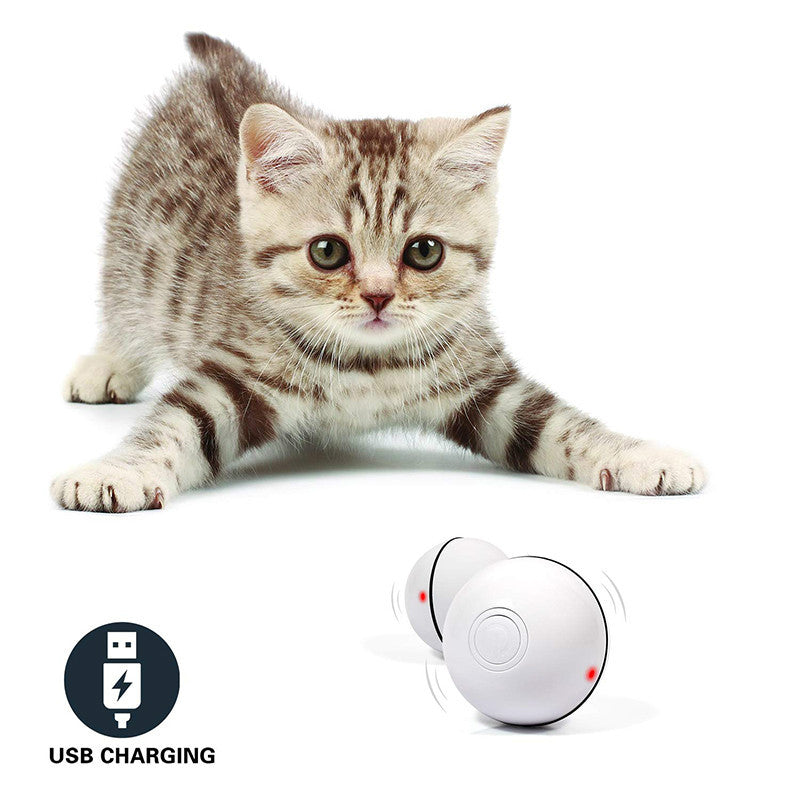 LED Rolling Cat Toy Ball – Interactive Laser Toy for Cats